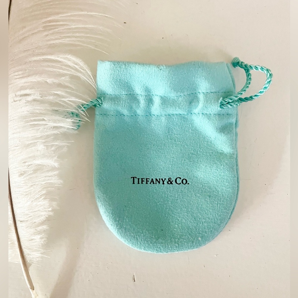 TIFFANY & CO. | 100% Authentic Signature Turquoise Jewelry Pouch